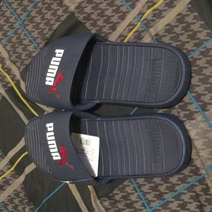 Puma slides